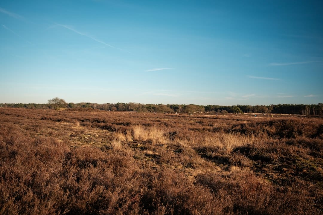 Photo Hilversum Iconic Locations
