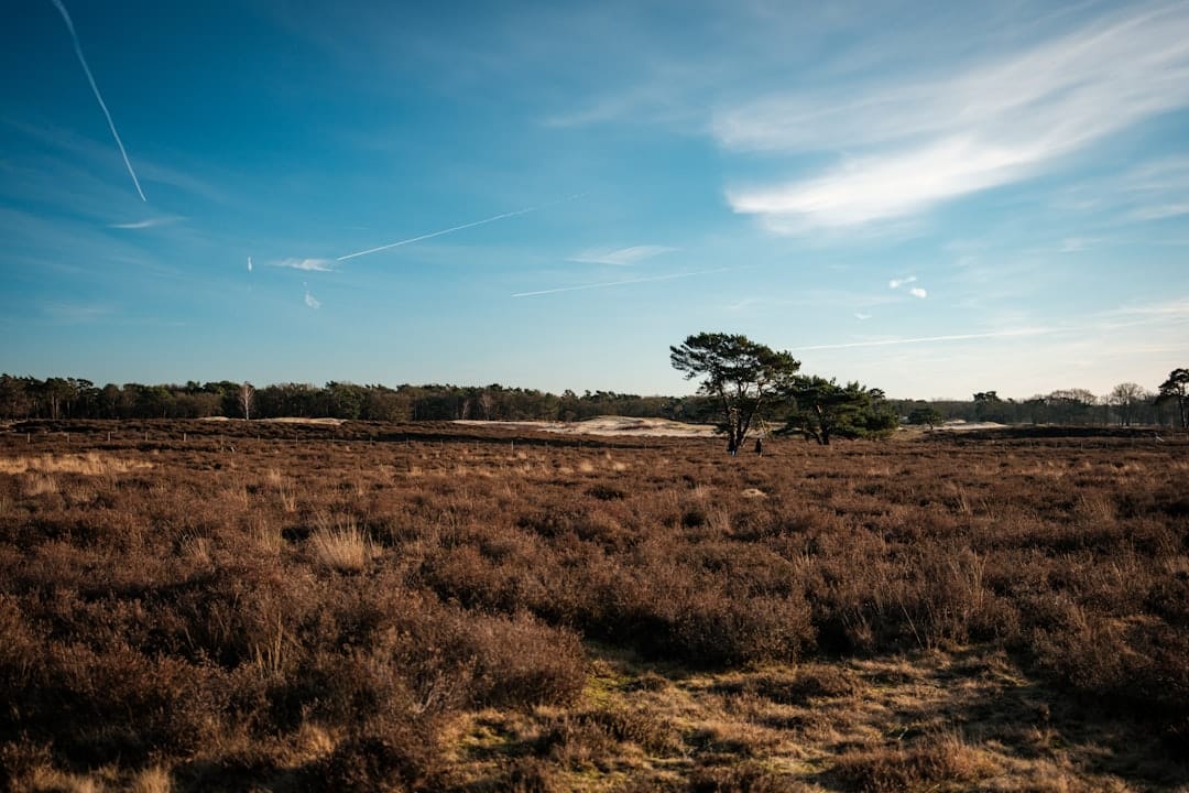 Photo Hilversum