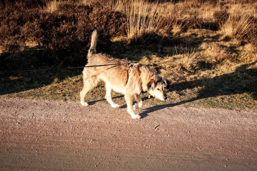 Photo Hilversum