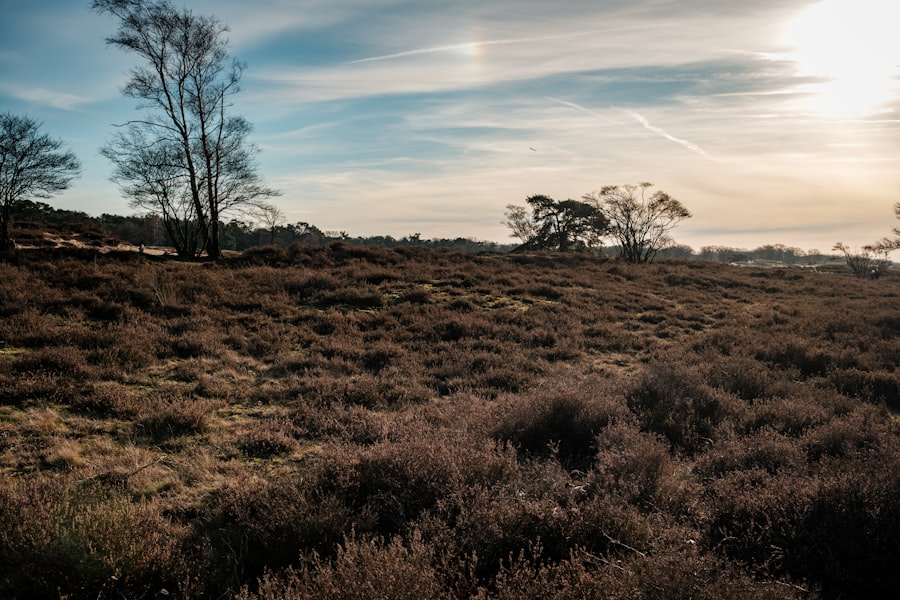 Hilversum
