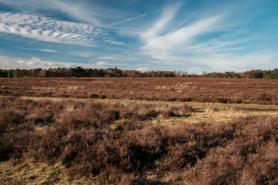 Photo Hilversum
