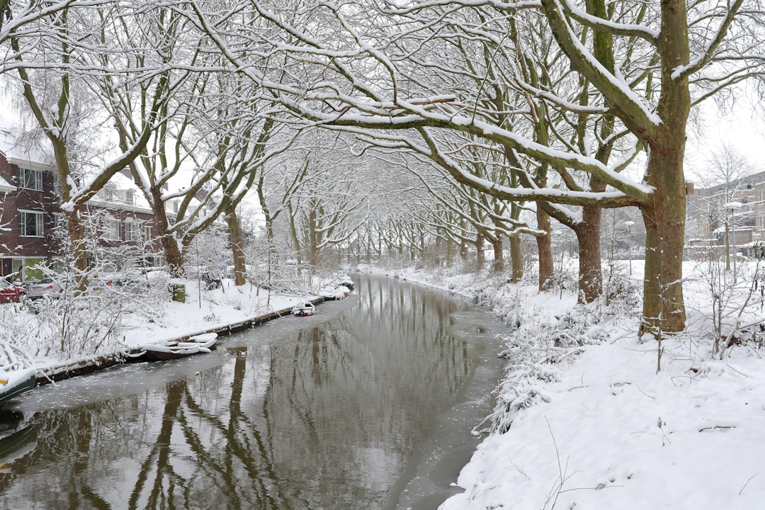 Photo Stamppot- en Wintergerechten